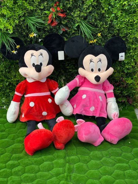 ميكي وميني ماوس